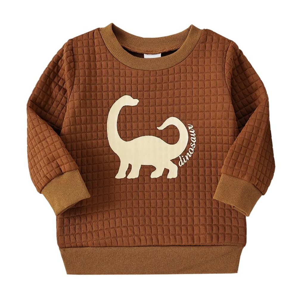 Brown Dinosaur Quilted Baby Boy Pullover Sweatshirt